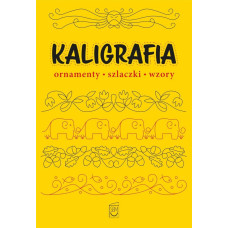 Kaligrafia. Ornamenty, szlaczki, wzory 